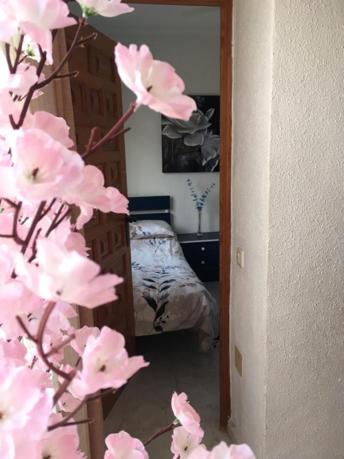Casa Phoenix Bed & Breakfast Alojamento de Acomodação e Pequeno-almoço *